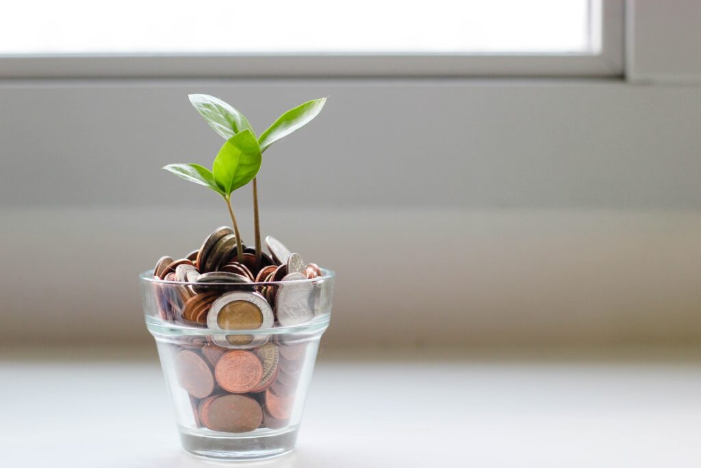Save the planet and money - plant growing in coins